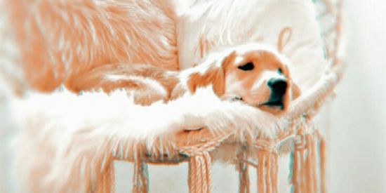 Imagem do grupo de WhatsApp 🍒 Softxxx_girls 🍒