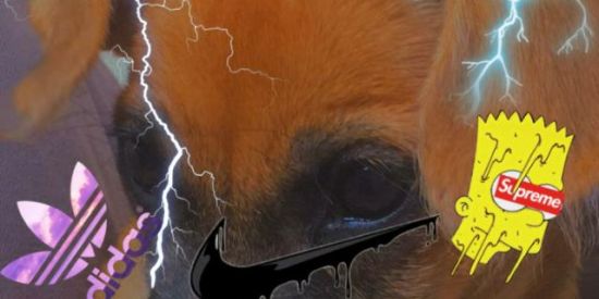 Imagem do grupo de WhatsApp 🇹🇷TROPAS DA TURQUIA🇹🇷