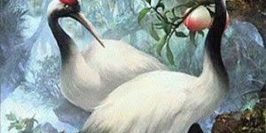 Imagem do grupo de WhatsApp OwOentræOwO