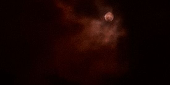 Imagem do grupo de WhatsApp Novinhos lgbt 😈🤝