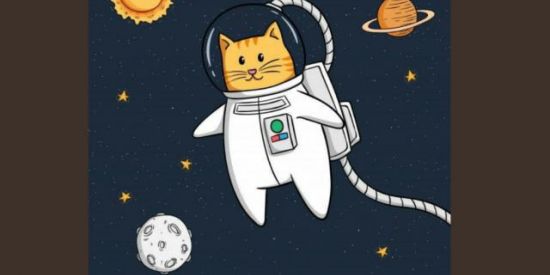 Imagem do grupo de WhatsApp ඞ(chat.on988)ඞ