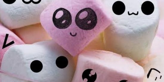 Imagem do grupo de WhatsApp new friendships🤝🏼♥️