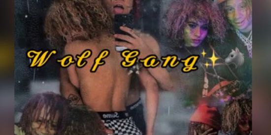 Imagem do grupo de WhatsApp Wolf  Gang ✨🐺