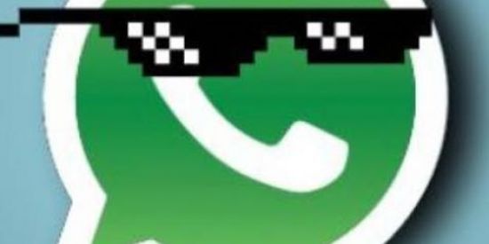 Imagem do grupo de WhatsApp 🦠😷