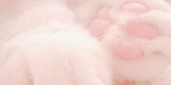 Imagem do grupo de WhatsApp 💙AMIGOS VIRTUAIS💜