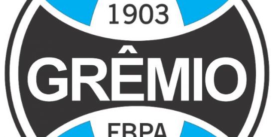 Imagem do grupo de WhatsApp gaúchos fc 🍺⚽