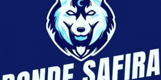 Imagem do grupo de WhatsApp BONDE SAFIRA