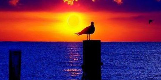 Imagem do grupo de WhatsApp Ajude meu canal no yutub