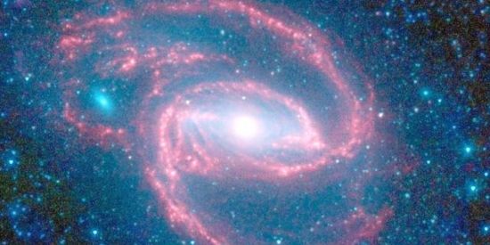 Imagem do grupo de WhatsApp Amor e amizades🌹🔥✨