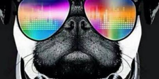 Imagem do grupo de WhatsApp So veem😈😅