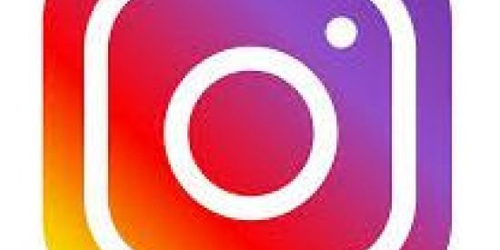 Imagem do grupo de WhatsApp Seguidores no insta 🍒✅