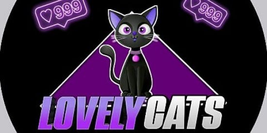 Imagem do grupo de WhatsApp Recrutamento