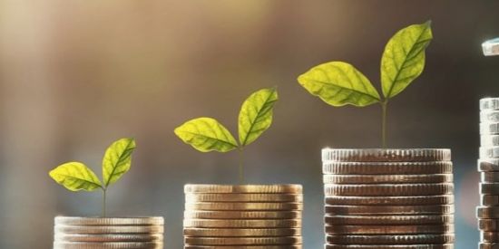 Imagem do grupo de WhatsApp Investidor Raiz