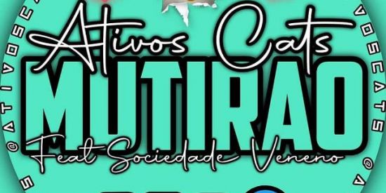 Imagem do grupo de WhatsApp Mutirão e divulgação