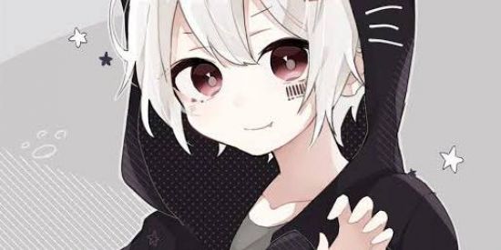 Imagem do grupo de WhatsApp 😻 amiguinhos😽