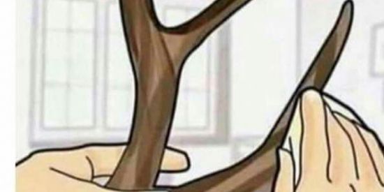 Imagem do grupo de WhatsApp AMIGOS DA ZOEIRA