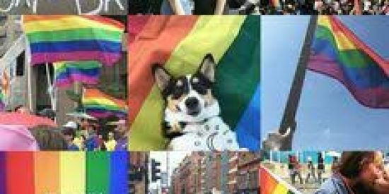 Imagem do grupo de WhatsApp Stickers Lgbt🏳️‍🌈