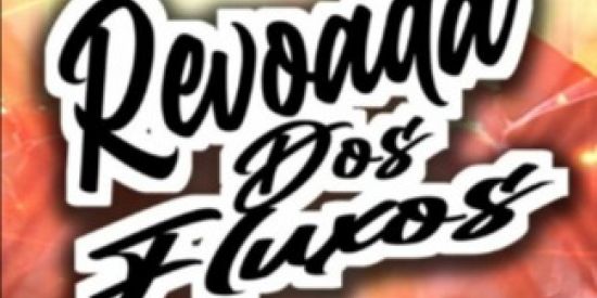 Imagem do grupo de WhatsApp REVOADA DOS FLUXOS 🔥😎