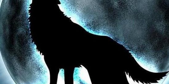 Imagem do grupo de WhatsApp Wolf War 🆁🅲🆃