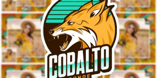 Imagem do grupo de WhatsApp RECRUTAMENTO BONDE COBALTO.🦊❤️