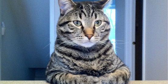 Imagem do grupo de WhatsApp Cabaré🤠🤤😂