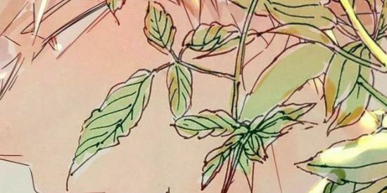 Imagem do grupo de WhatsApp *(⸙͎  🍑")Amora Candyー。