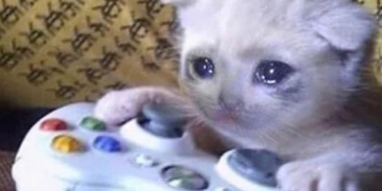 Imagem do grupo de WhatsApp Tchubirau daum daum🐦