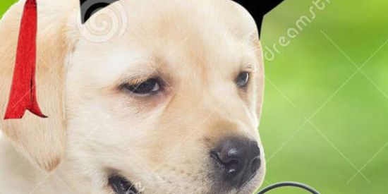 Imagem do grupo de WhatsApp Sla🤌🤘🖖