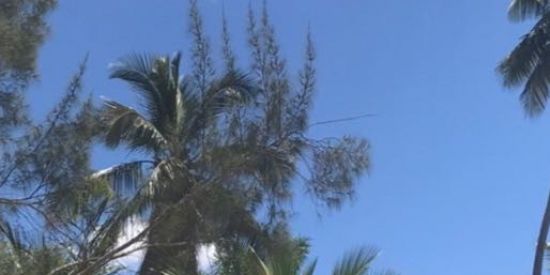 Imagem do grupo de WhatsApp Brasil 🇧🇷