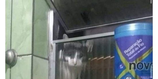 Imagem do grupo de WhatsApp 🥀Novas Amizades🥀