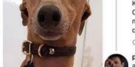 Imagem do grupo de WhatsApp GASTAÇAO FREE😂😂😂😏