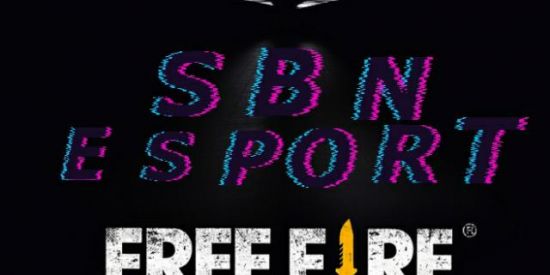 Imagem do grupo de WhatsApp SBN-Esport🤡