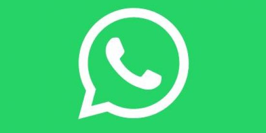 Imagem do grupo de WhatsApp Divulgação Contatos