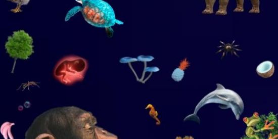 Imagem do grupo de WhatsApp Grupo Bioscience