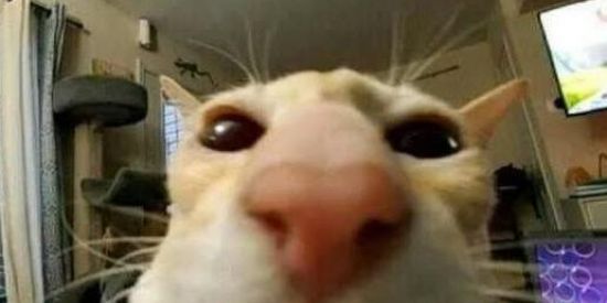 Imagem do grupo de WhatsApp Não, muito caro