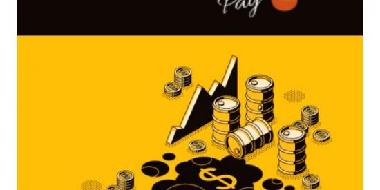 Imagem do grupo de WhatsApp Petronpay Moz invest⛽⛽⛽