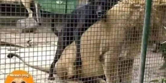 Imagem do grupo de WhatsApp Ousadia