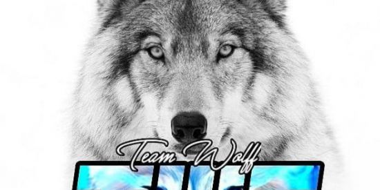 Imagem do grupo de WhatsApp RECRUTAMENTO-BONDE 21✧тωf