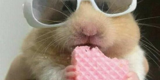 Imagem do grupo de WhatsApp ⛱️Conversa Sem Fim⛱️