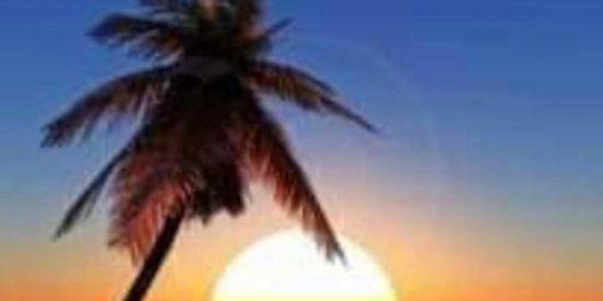 Imagem do grupo de WhatsApp Muitos seguidores