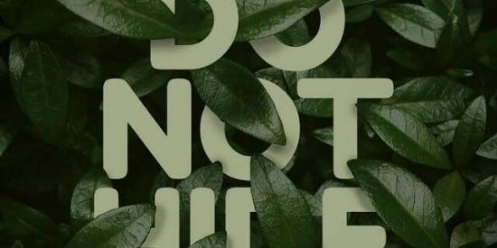 Imagem do grupo de WhatsApp SÓ OS FORTES SOBREVIVEM ✅