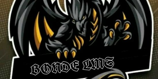 Imagem do grupo de WhatsApp BONDELMS