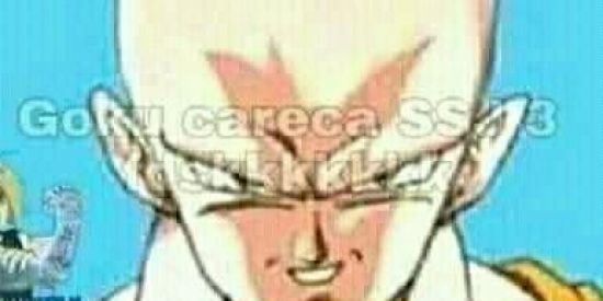 Imagem do grupo de WhatsApp 24h de memes