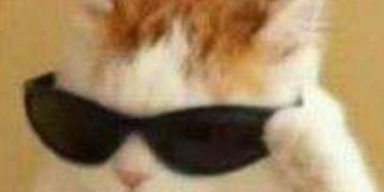 Imagem do grupo de WhatsApp amizades novas 🛐