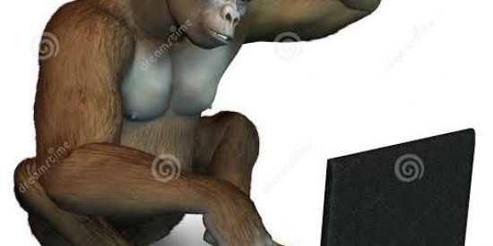 Imagem do grupo de WhatsApp Sistema