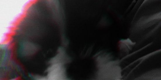 Imagem do grupo de WhatsApp Amizade ou namoro