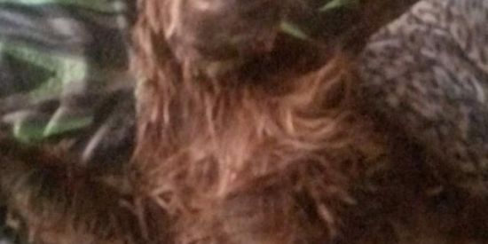 Imagem do grupo de WhatsApp NIT͢ROS SO͢DA ⚠️