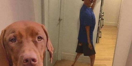 Imagem do grupo de WhatsApp ⃝⃟๏[『ZuEiRa RaNdOn』]๏⃝⃟