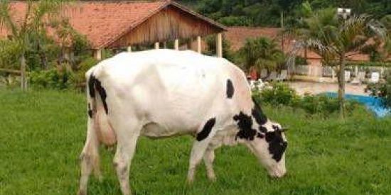 Imagem do grupo de WhatsApp WEBNAMORO😏🙄😑