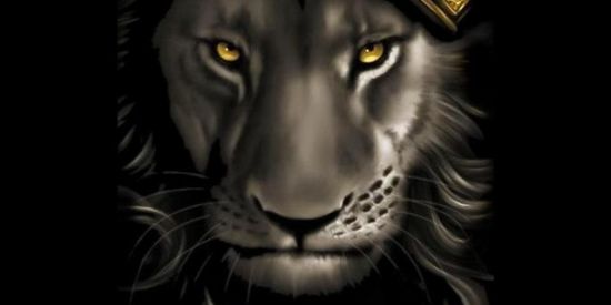 Imagem do grupo de WhatsApp FIGURAS 1.6